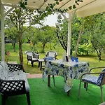 Tom E Jerry Bed & Breakfast 3*