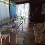Tom E Jerry Domus De Maria