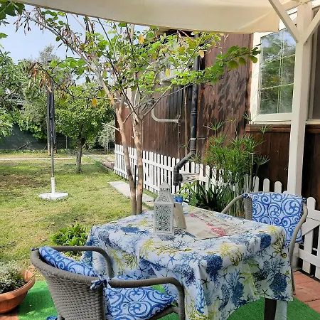 Tom E Jerry Domus De Maria