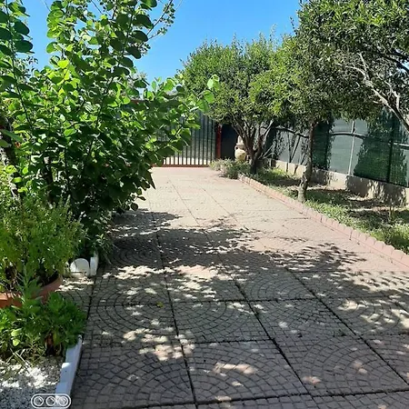Tom E Jerry Bed and breakfast Domus De Maria