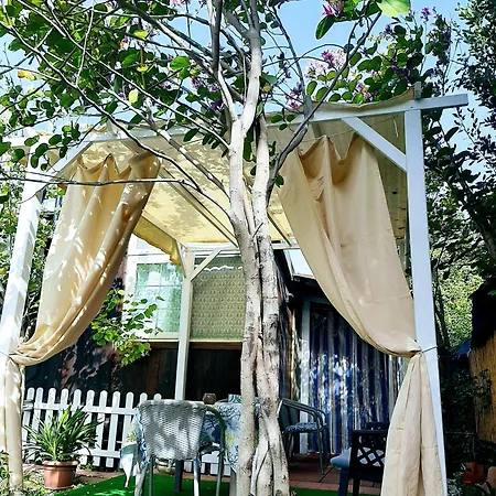 Bed and breakfast Tom E Jerry Domus De Maria
