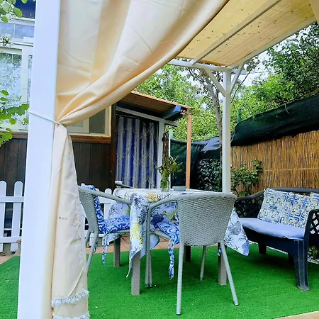 Tom E Jerry Domus De Maria