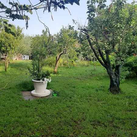 Bed and Breakfast Tom E Jerry