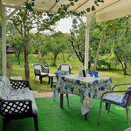 Tom E Jerry Bed & Breakfast *