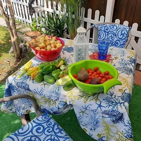 Couette-café Tom E Jerry Domus De Maria