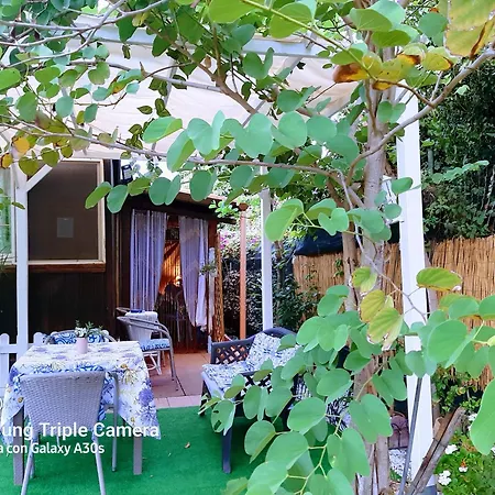 Bed and Breakfast Tom E Jerry