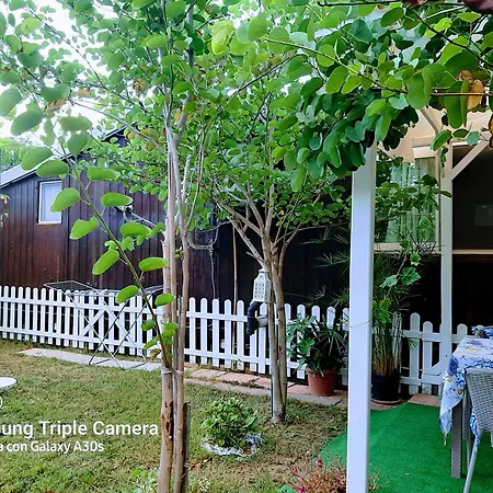 Tom E Jerry 3* دوماس دي ماريا