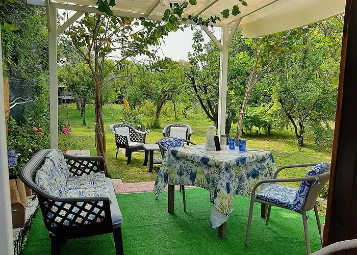 Tom E Jerry Bed & Breakfast 3*