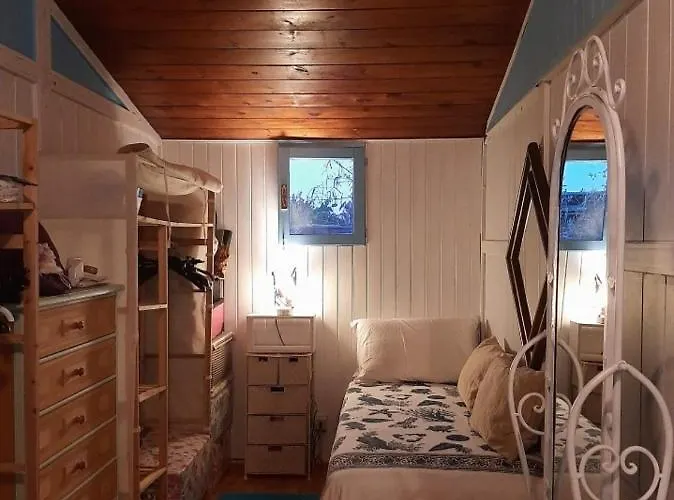 Panzió Tom E Jerry Domus de Maria