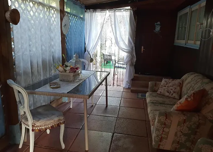 Tom E Jerry Domus de Maria