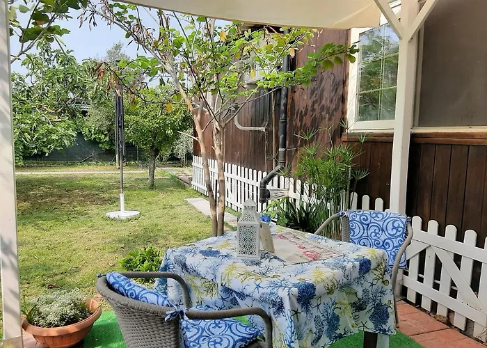 Tom E Jerry Domus de Maria