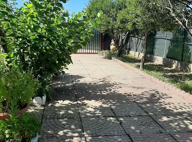 Tom E Jerry Panzió Domus de Maria