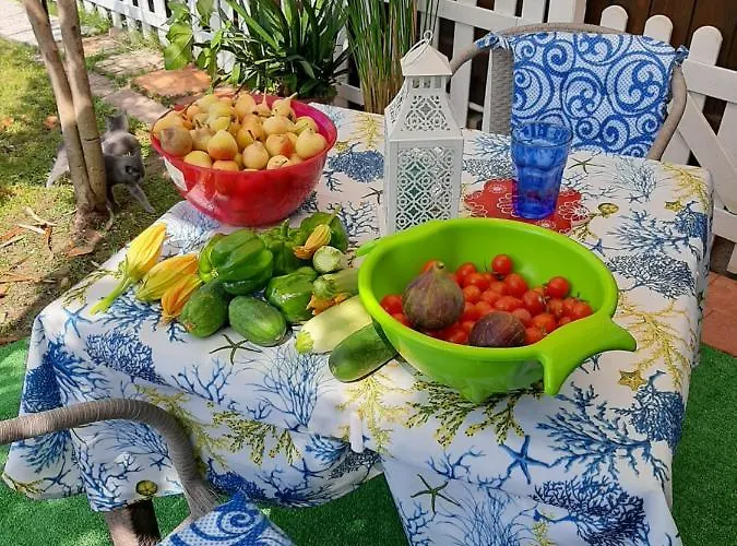 Panzió Tom E Jerry Domus de Maria