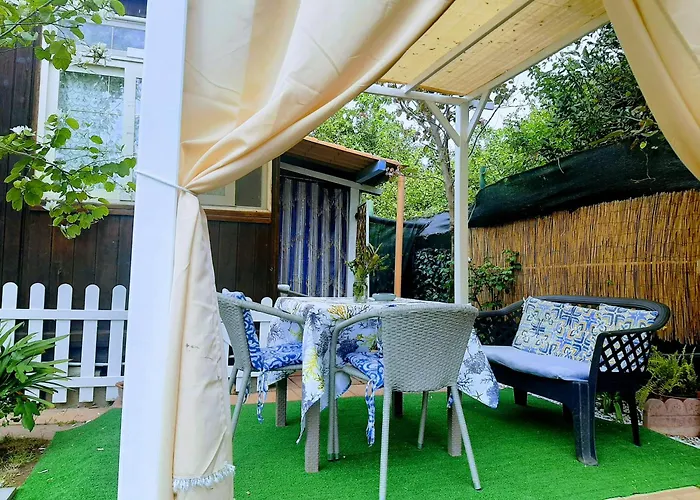 Tom E Jerry Domus de Maria